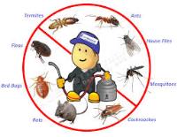 Marks Pest Control image 1